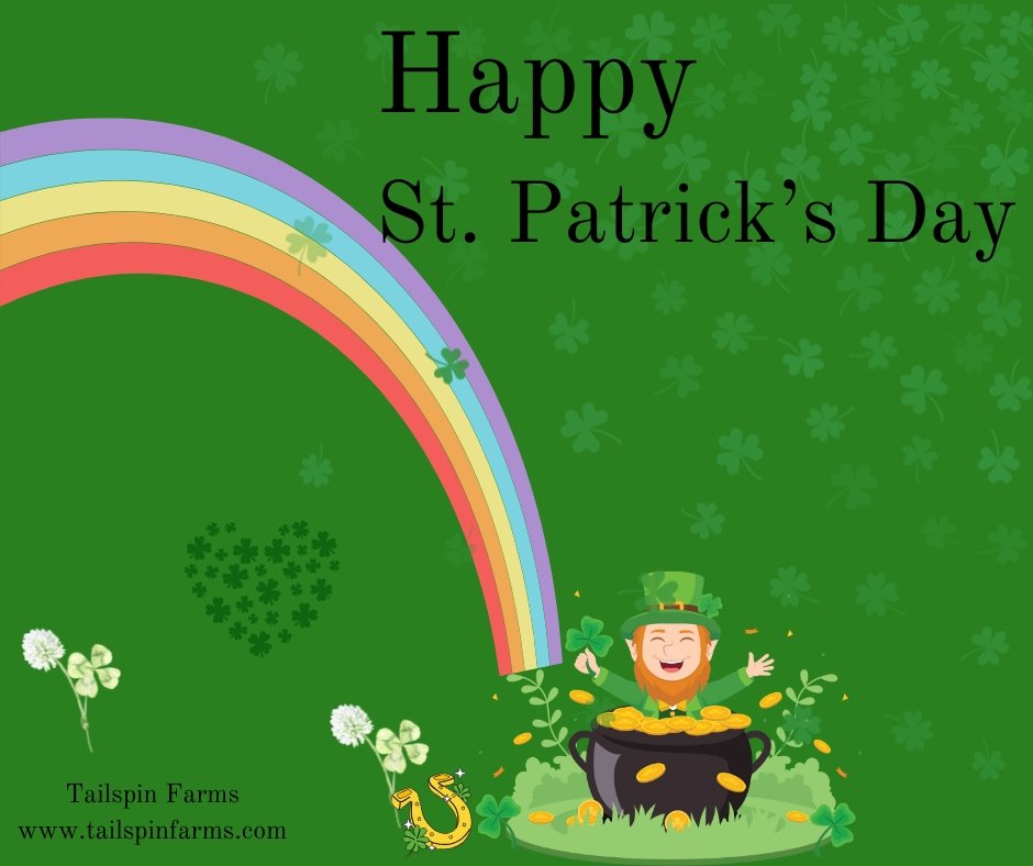 st paddys day alcohol consumption