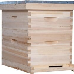 10 Frame Bee Hive, Compelte Bee Hive Starter Kit Includes 1 Deep Brood Honey Bee Hives Box, 1 Medium Super Bee Box with Beehive Frames and Foundation Sheets