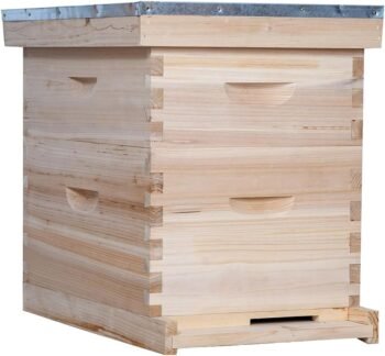 10 Frame Bee Hive, Compelte Bee Hive Starter Kit Includes 1 Deep Brood Honey Bee Hives Box, 1 Medium Super Bee Box with Beehive Frames and Foundation Sheets