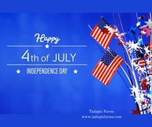Happy 4th of July