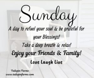 Sunday 22
